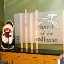 Spirit of the Red Horse